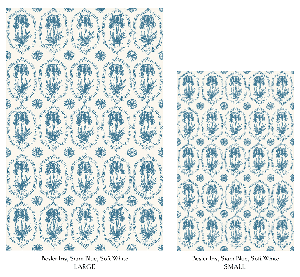 Besler-Iris-Blue-Comparison