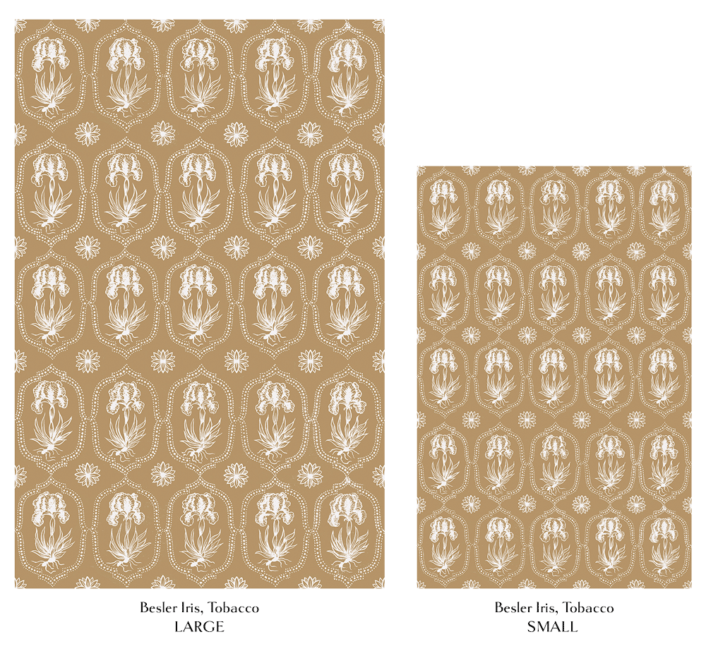 Besler-Iris-Tobacco-Comparison