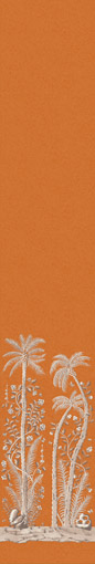 Palm-Savanna-Small-10.9.26