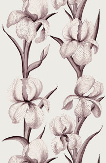 Rayures-d'iris-Aubergine2-215x329.60