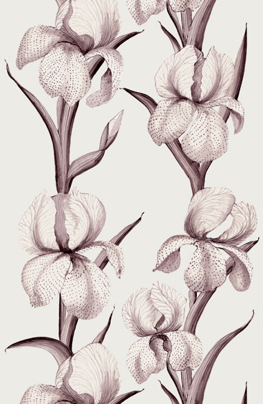 Rayures-d'iris-Aubergine2-382x585.60