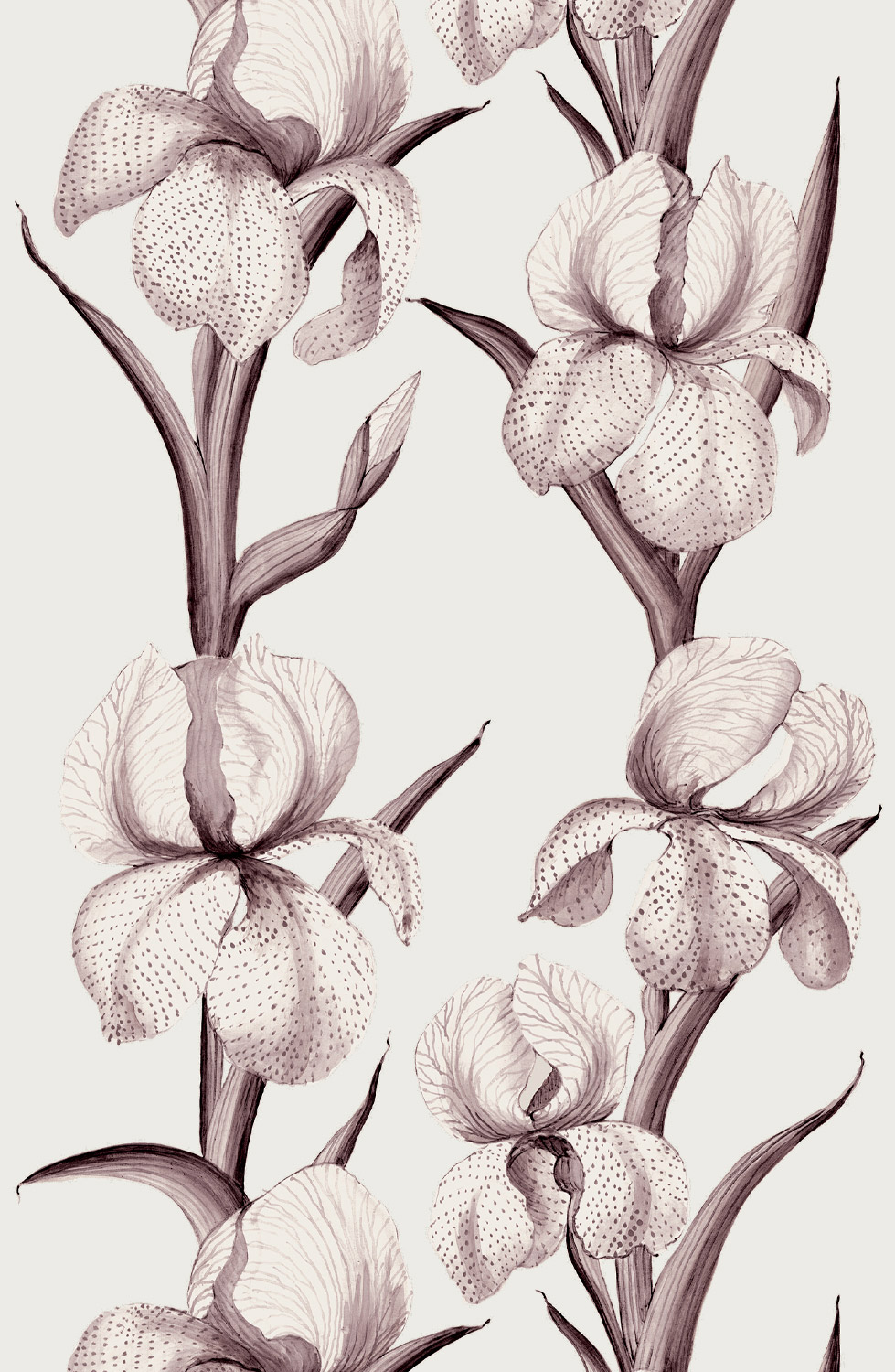Rayures-d'iris-Aubergine2-979x1500.60