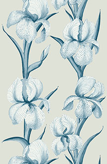 Rayures-d'iris-Blue-215x329.60