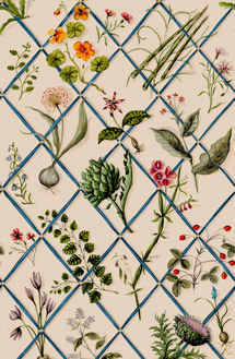 Secret-Garden-Original-MRSG01.215x329