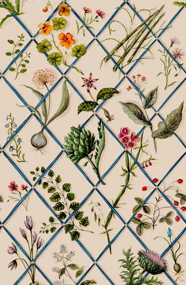 Secret-Garden-Original-MRSG01.382x585